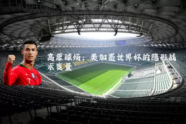 高原球场：美加墨世界杯的隐形战术变量